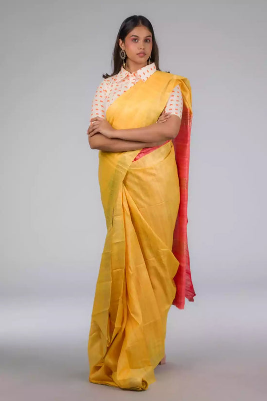A picture of Crimson & Scarlet Tussar with Ghicha Border Saree, womens workwear standing against a grey background
