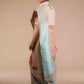 back view of a beautiful woman with a bun wearing a multicolor pastel saree with multicolor blouse 